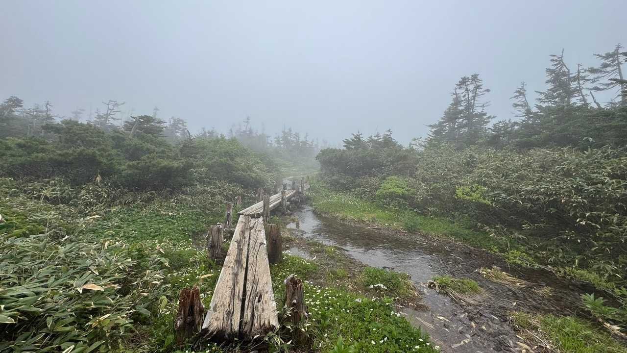八甲田山（大岳・井戸岳・赤倉岳）／青森遠征Day2 の写真 11