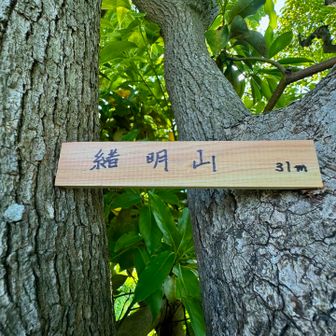 緒明山...31m（初）

公園のなかにグレーピークがあります
