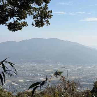 霞んでるけどいい景色だ