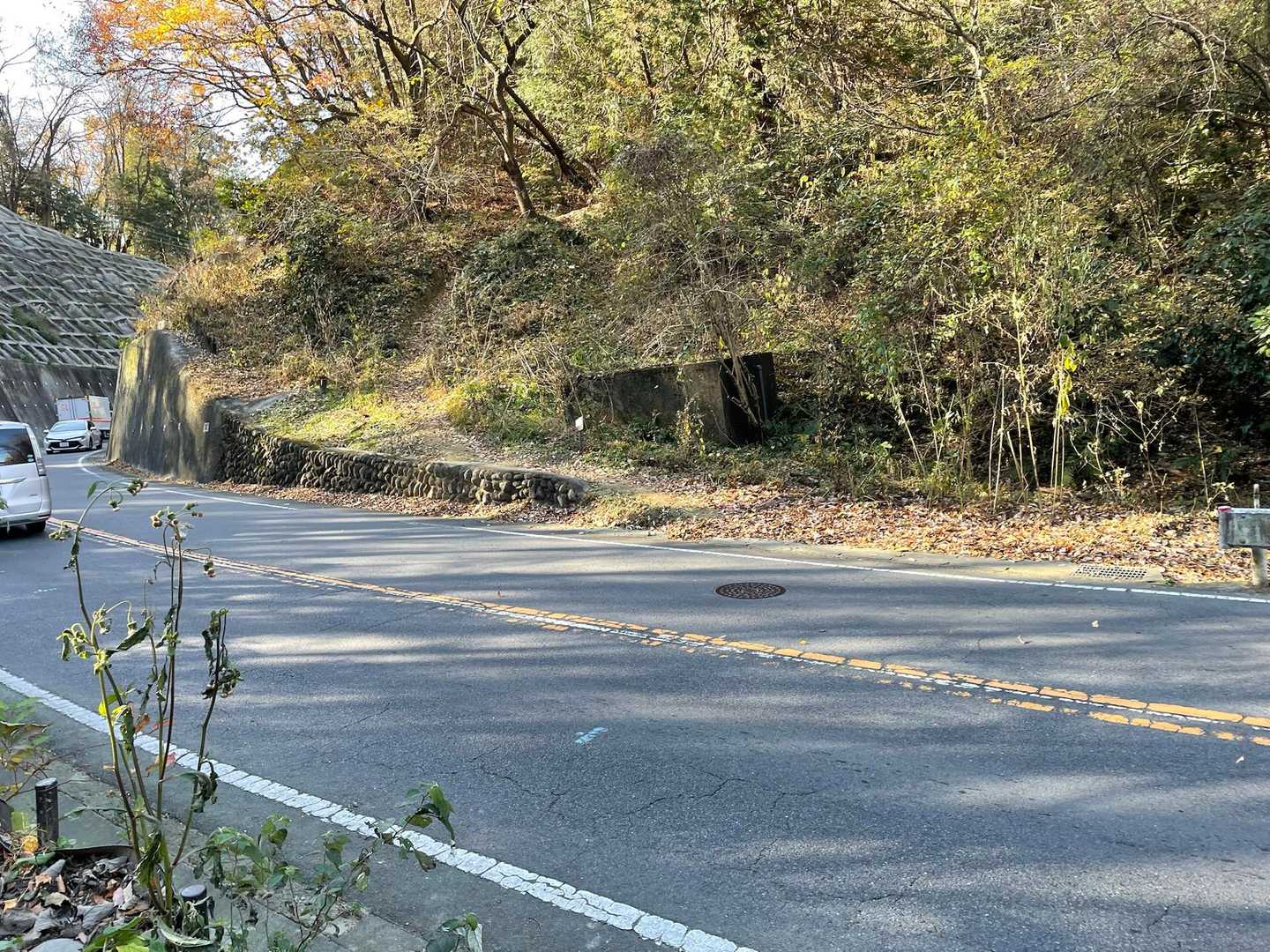 車道の奥の方がカーブになってるので、ちょっと怖い…