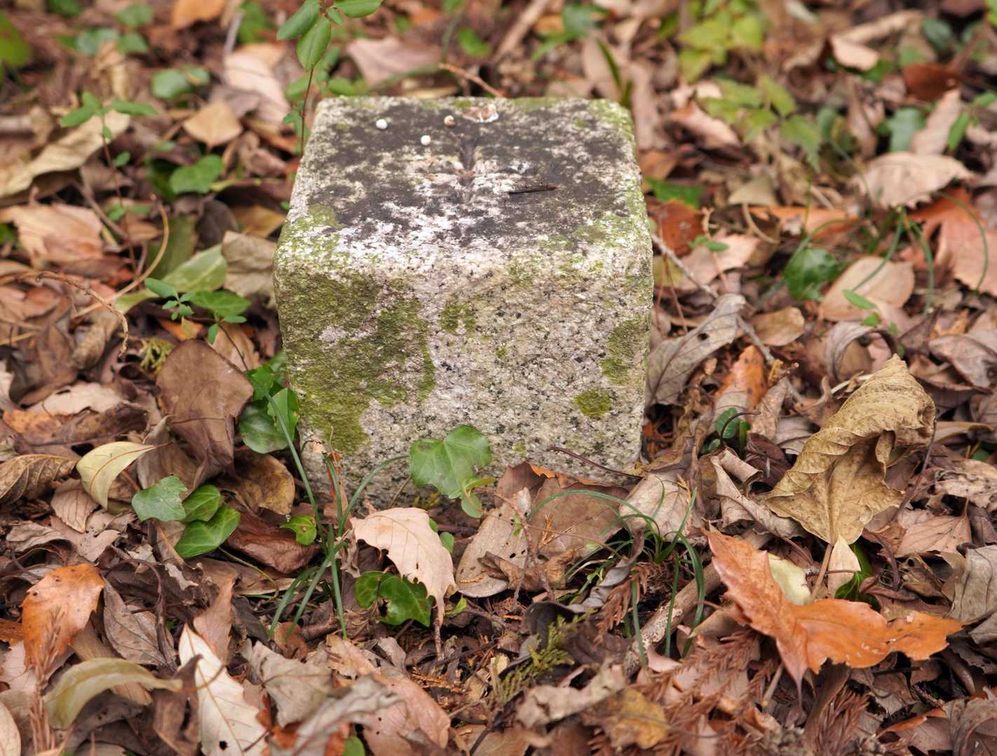 稲荷山 三角点

等級種別	三等三角点
基準点名	稲荷山
北緯	34°10′47″.9567
東経	135°19′45″.8701
標高(ｍ)	318.73
