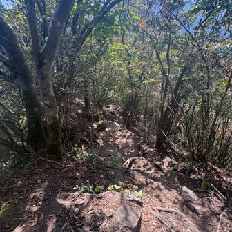 温泉混雑避けるため倶留尊山ピストン