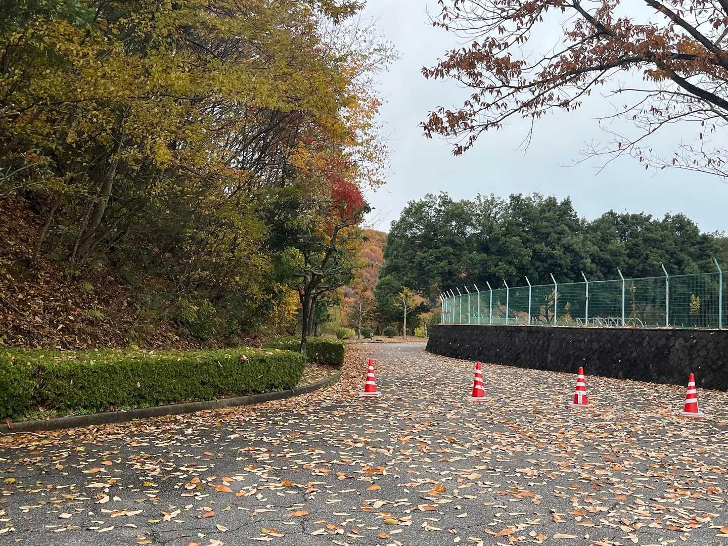 ここから、スタート▶️