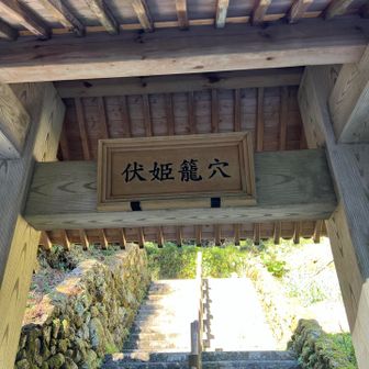 姫、いま参りますぞよ