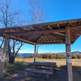 解放感たっぷりの東や💫
のんびり休憩🍵