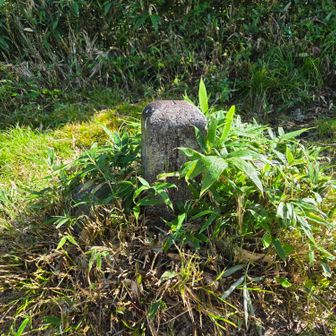 地蔵岳(三角点ポイント)までは アップダウンを繰り返し けっこう体力を削られたが…