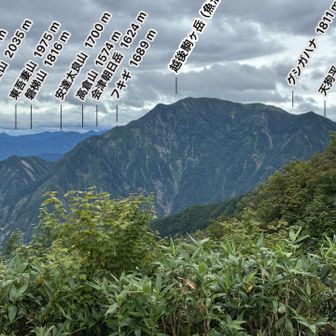 ベンチでずっと眺めてた山なんだろう？
って越後駒ヶ岳じゃないですか〜⁉️
行ってみたい😍