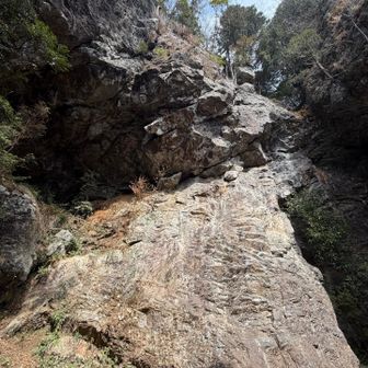 ここも登られていました。すごい