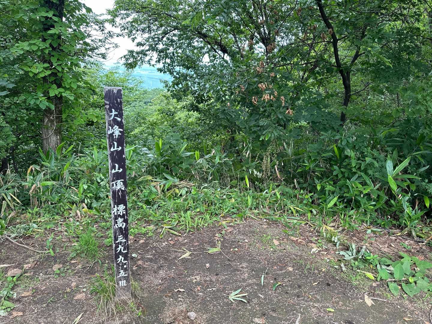桜公園登山口-大峰山 往復コースの写真