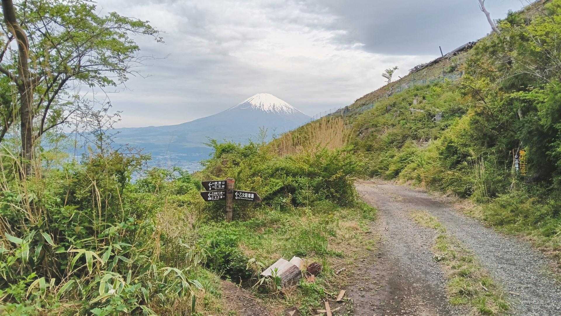 林道に出た‼️振り向くと 富士山