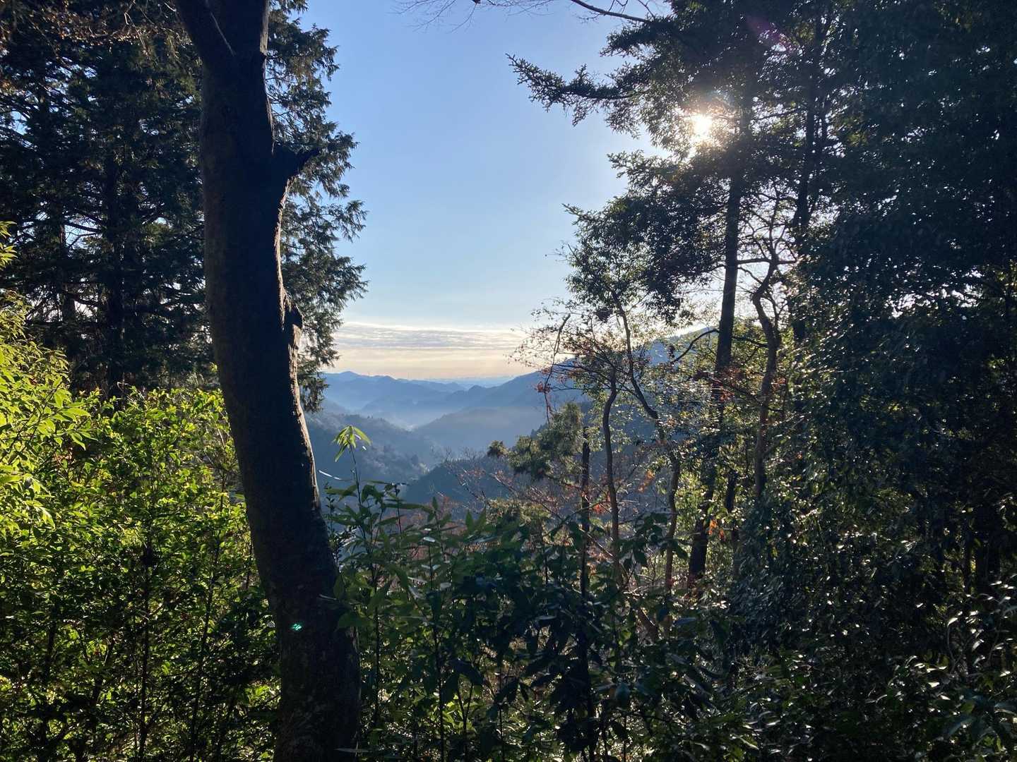 吉田山-子ノ山-奥の院-滝不動 周回コースの写真
