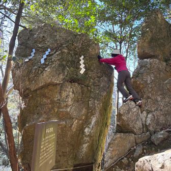 思い切り押しますが、びくとも動きません💦
きっと私が細腕だから😆笑
