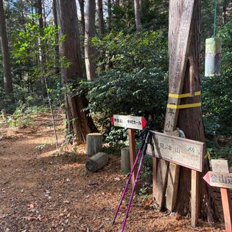 本日最後のピーク🥳