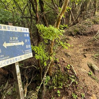 水沢峠です。ここからさらなるアップが待ってます⤴️