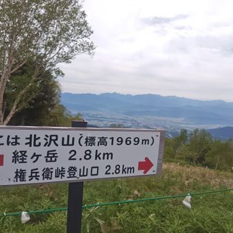 北沢山が丁度中間点。紐にぶら下がってるのは、鹿が嫌う(忌避剤)香りの素(ヒトデを乾燥させて砕いたものだそうです)ササユリを守る為に、ボランティアの方々が1つずつ付け替えてました🙇‍♂️有難うございます。