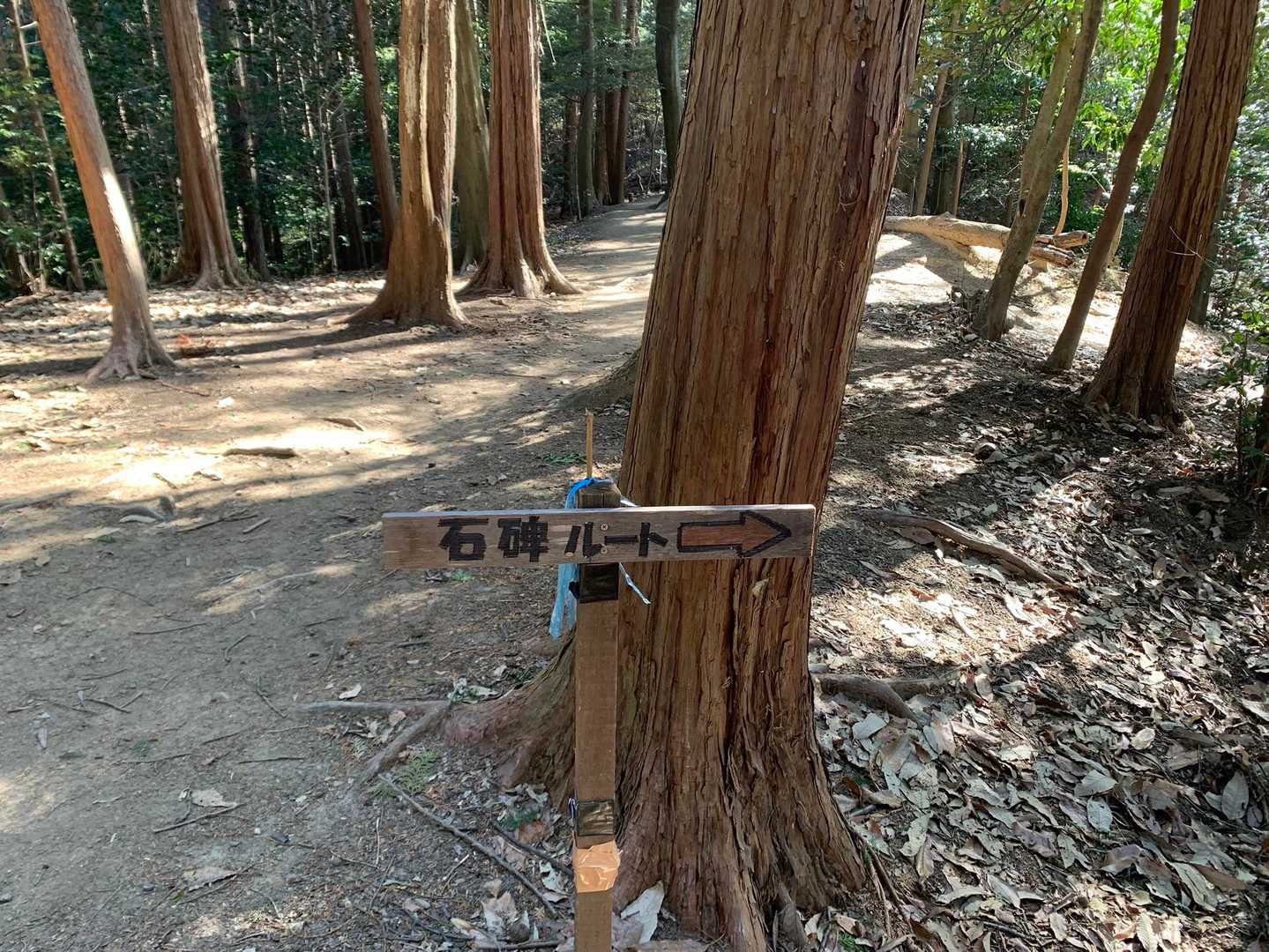石碑ルート🤩⁉️
気になるけれど初めてのソロなので無理はしない😤
予定していたルートで進みます🐾