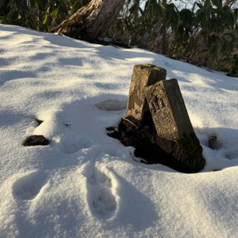 岩倉山　山頂△

なんだか仲良く寄り添ってるみた〜い👬
なんて想像をしました　笑
味わい深い景色に和みました✨
あやかりたいものですね♪