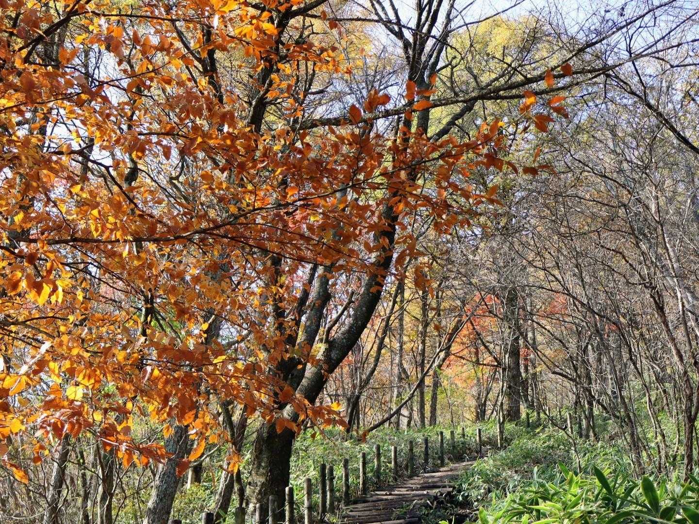 榛名山 往復コースの写真