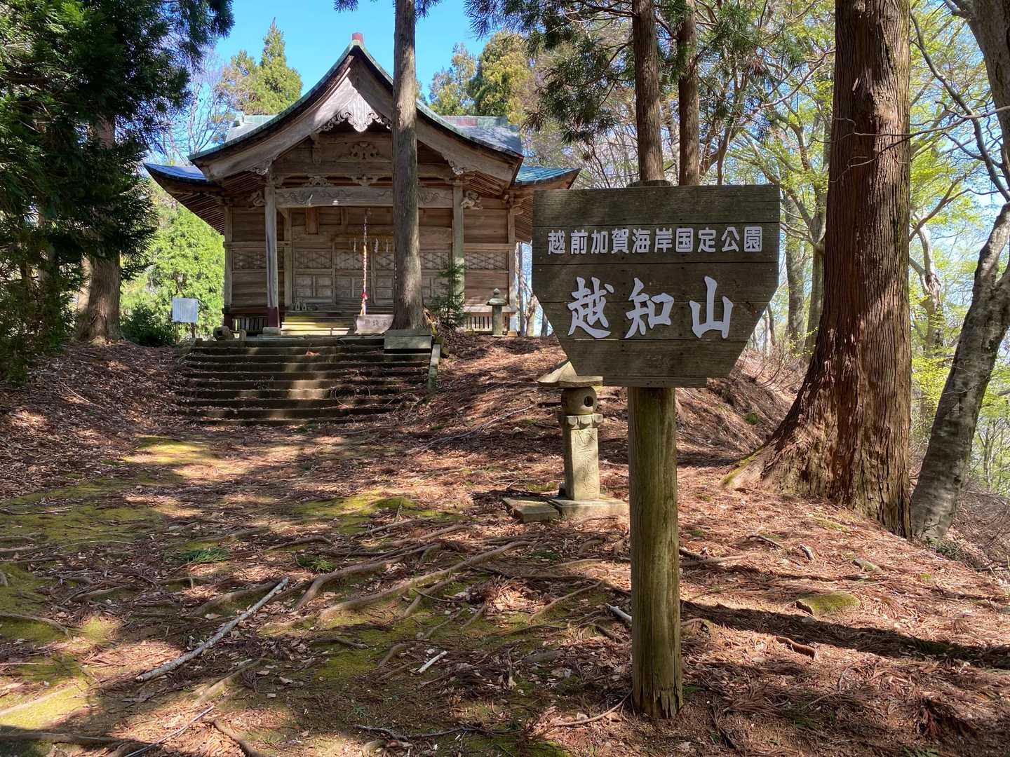 越知神社