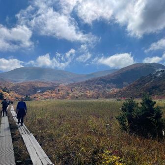 すっかり降りてきて振り返る
山全体が紅葉なんだね
人が集まるのもわかる