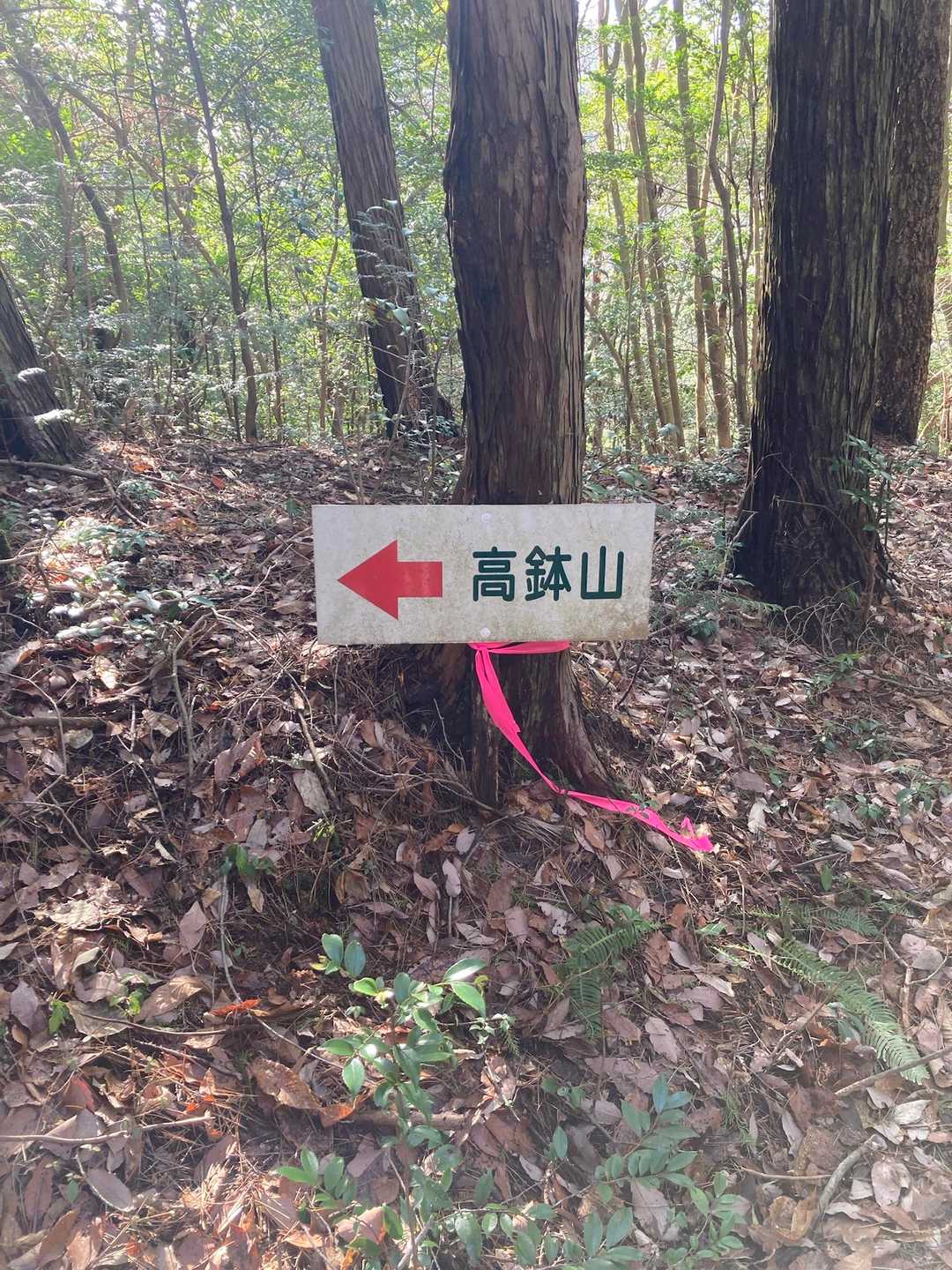 無事降りてきたので案内板を撮影しました。
