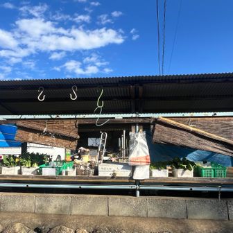 楽しみながら戻りました