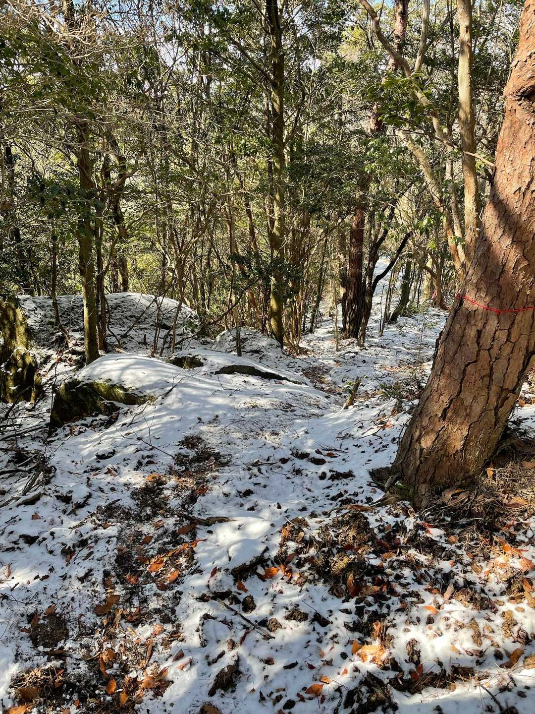 慎重に下山
しつつも

すっ転ぶこと3回　😆

みごとなしりもちでしたー　💕