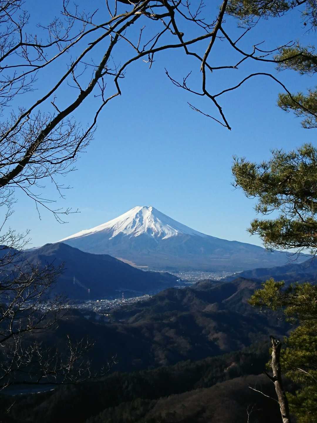 からの富士山🗻〜