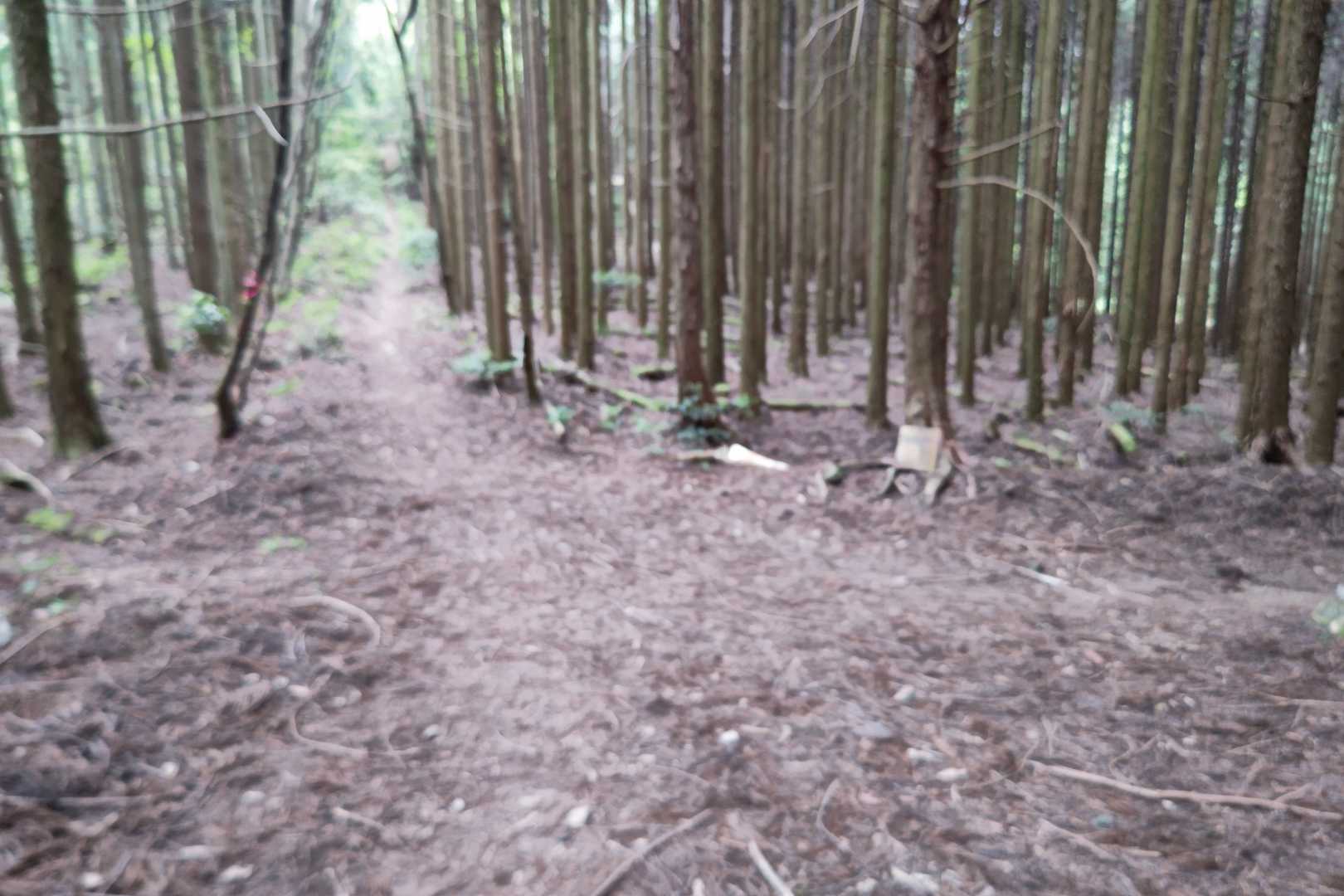 分岐点❗