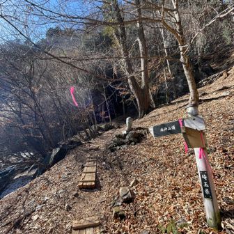 山頂目指すよ！てか、滝なかった…