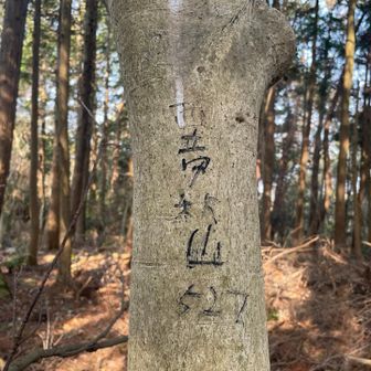 あ、西帝釈山のピークやった。