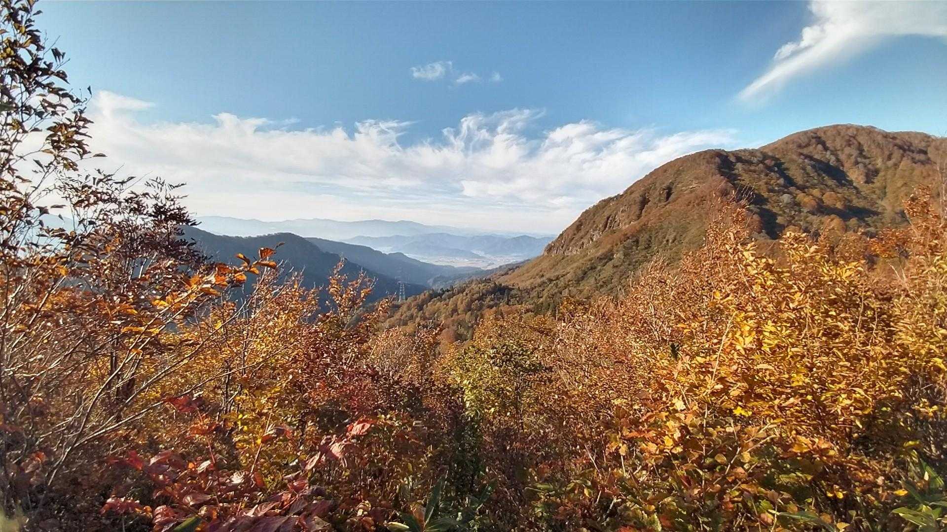 ここら辺、紅葉🍁ピーク。