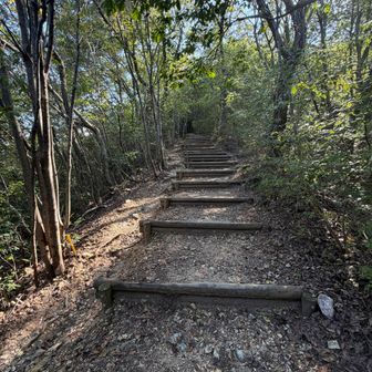緩い階段ですが階段は嫌いです