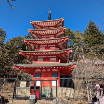 忠霊塔を見上げる。