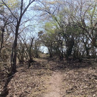 山頂まであと少し