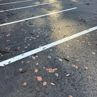 いつの間にか駐車場も広がった🅿️