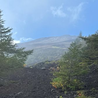 宝永山を見上げる