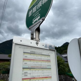 到着！
14時16分のバスに間に合いました😅
これを逃すと次は17時…地獄やん