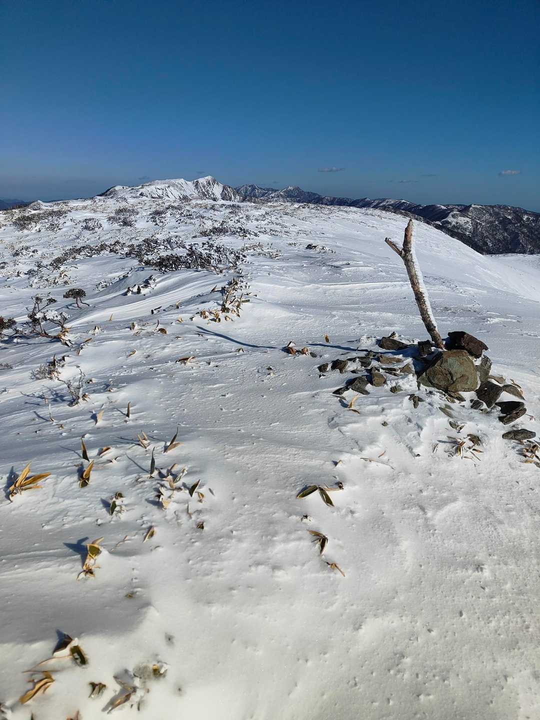 天狗塚登山口-第1ピーク 往復コースの写真