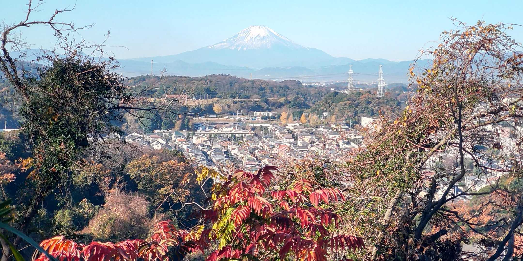 🗻と🍁