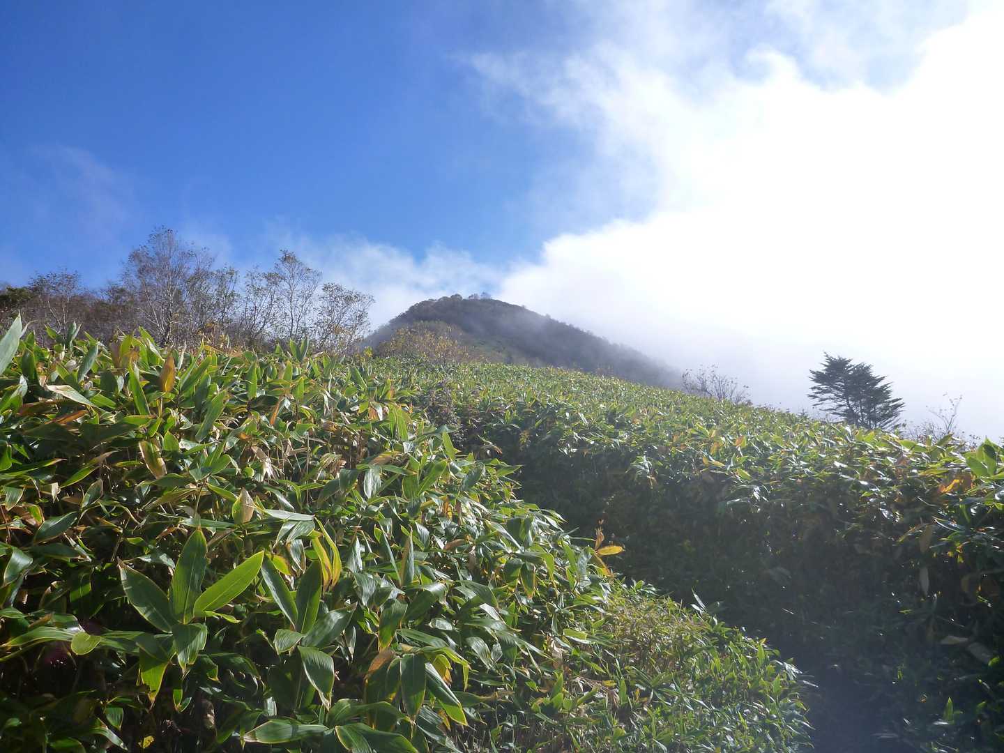 飯縄山-瑪瑙山 縦走コースの写真