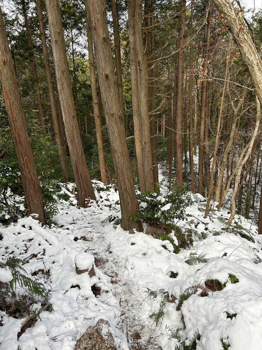 雪が深くなってきた☃️