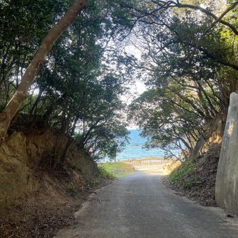 下山、ですがちょっと寄り道
左側の小山にも登ってみます