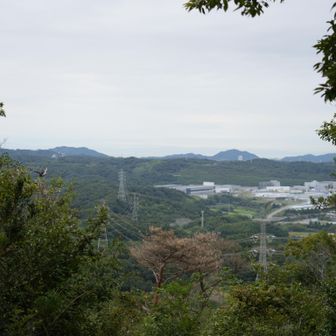 北東側かな？