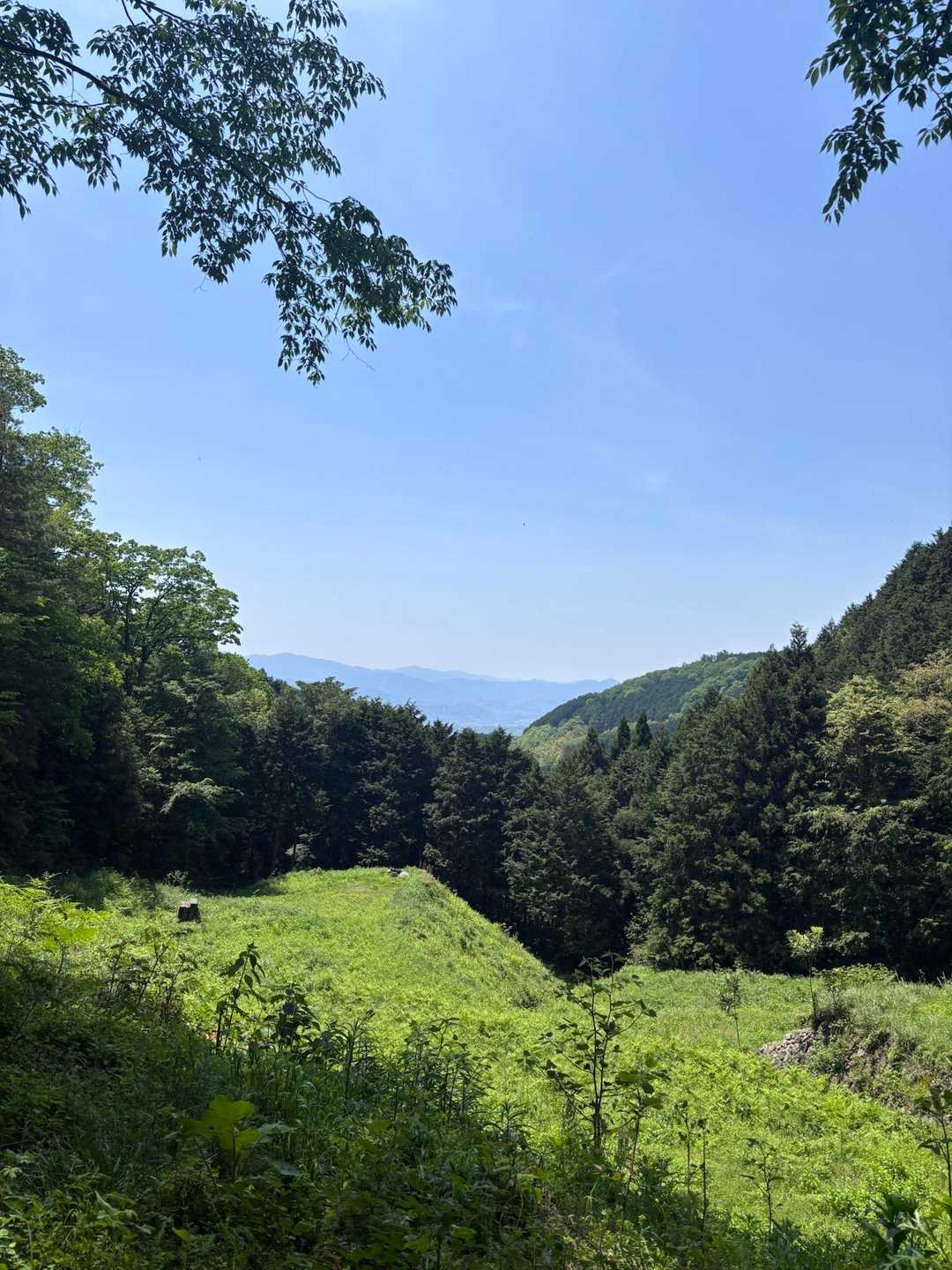 不動山登り口-不動山-行者杉-杉尾峠-タンボ山 周回コースの写真