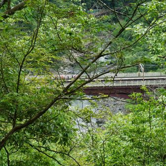 保津峡駅が見えます