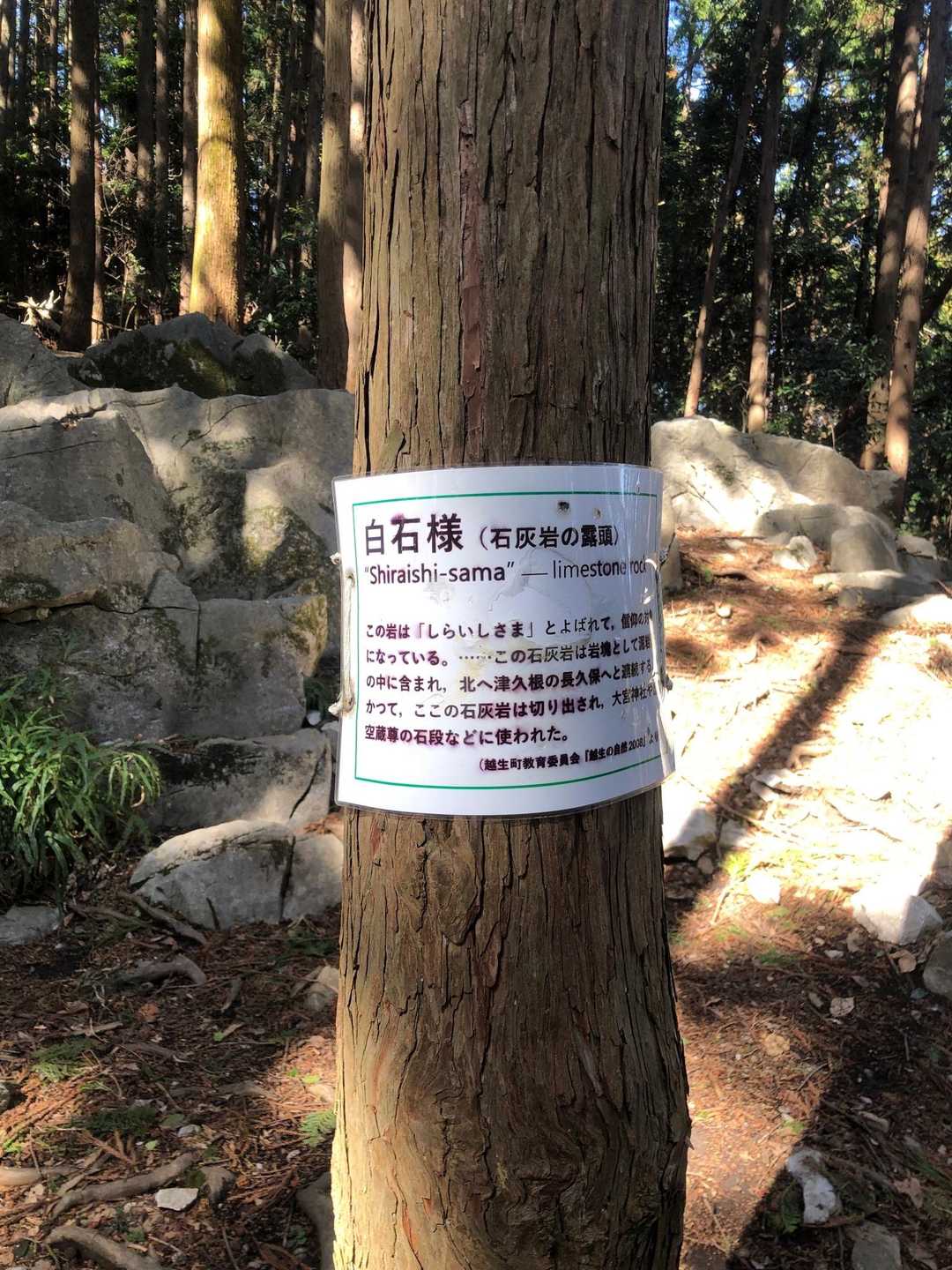 大観山-根っこ山-大高取山-稲荷坂バス停 周回コースの写真