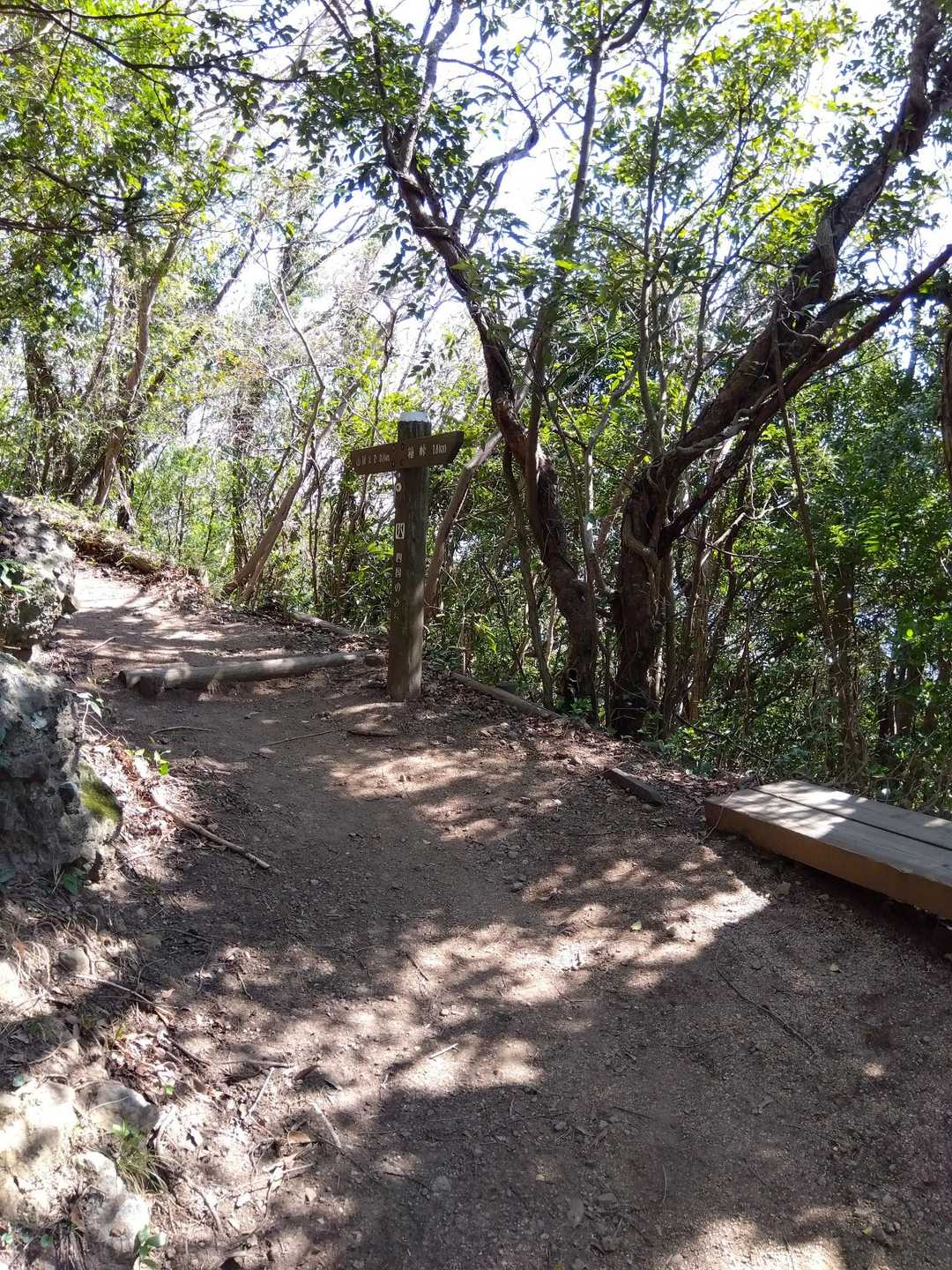 登山道。階段の急登地帯もあるよ