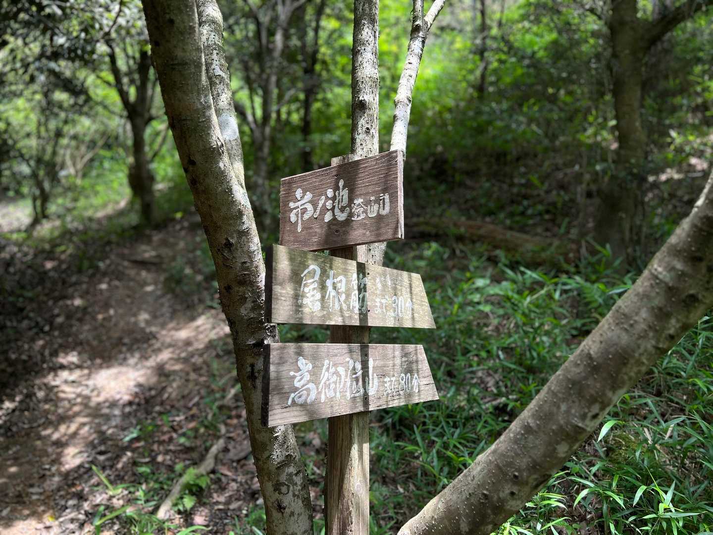 降りてきました。