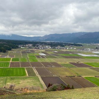 お米がいっぱいとれますように🙏